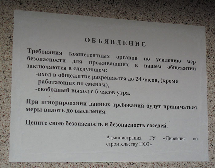 Молодой литератор — 2010